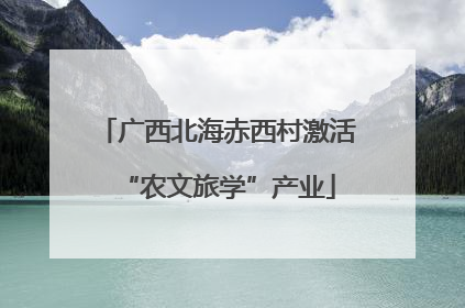 广西北海赤西村激活“农文旅学”产业