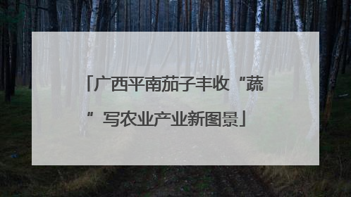 广西平南茄子丰收“蔬”写农业产业新图景