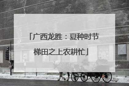 广西龙胜：夏种时节 梯田之上农耕忙