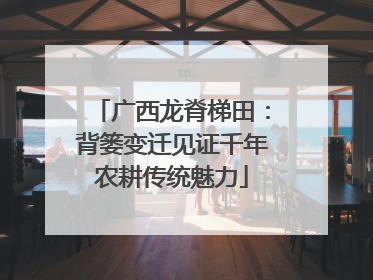 广西龙脊梯田：背篓变迁见证千年农耕传统魅力