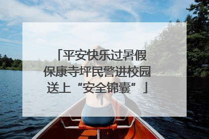 平安快乐过暑假 保康寺坪民警进校园送上“安全锦囊”
