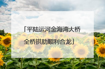 平陆运河金海湾大桥全桥拱肋顺利合龙