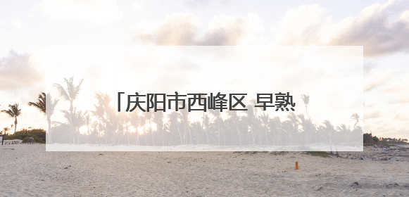 庆阳市西峰区 早熟红杏“云”端飘香