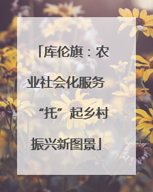 库伦旗：农业社会化服务“托”起乡村振兴新图景