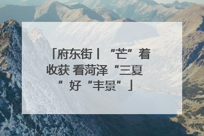 府东街丨“芒”着收获 看菏泽“三夏”好“丰景”