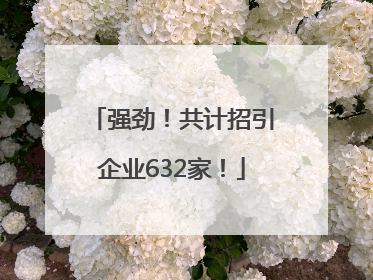 强劲！共计招引企业632家！