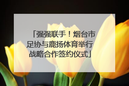 强强联手！烟台市足协与鹿扬体育举行战略合作签约仪式