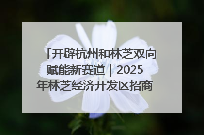 开辟杭州和林芝双向赋能新赛道｜2025年林芝经济开发区招商引资（杭州）推介展销活动在杭举办