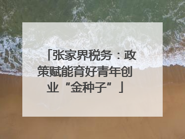 张家界税务：政策赋能育好青年创业“金种子”
