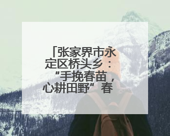 张家界市永定区桥头乡：“手挽春苗，心耕田野”春耕体验活动