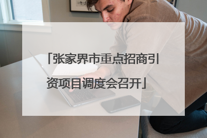 张家界市重点招商引资项目调度会召开