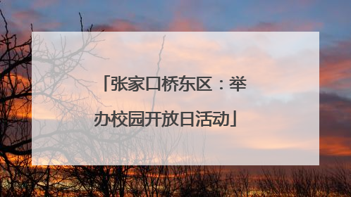 张家口桥东区:举办校园开放日活动