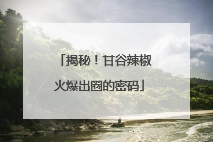 揭秘！甘谷辣椒火爆出圈的密码