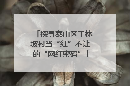 探寻泰山区王林坡村当“红”不让的“网红密码”