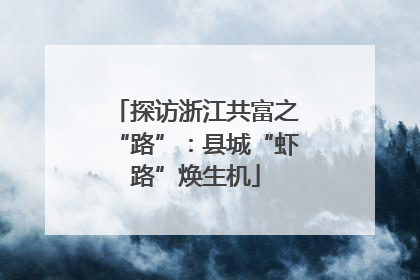 探访浙江共富之“路”：县城“虾路”焕生机