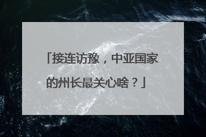 接连访豫，中亚国家的州长最关心啥？
