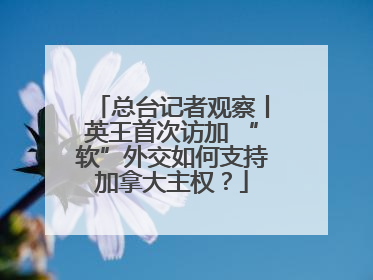 总台记者观察丨英王首次访加 “软”外交如何支持加拿大主权？