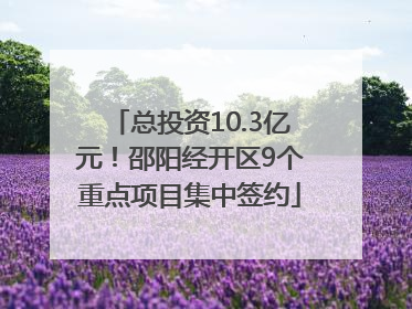 总投资10.3亿元！邵阳经开区9个重点项目集中签约