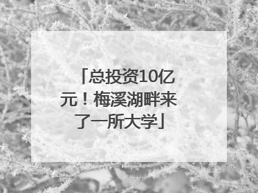总投资10亿元！梅溪湖畔来了一所大学