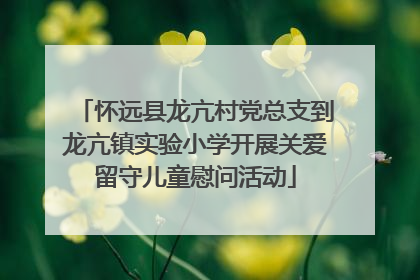 怀远县龙亢村党总支到龙亢镇实验小学开展关爱留守儿童慰问活动