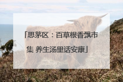 思茅区：百草根香飘市集 养生汤里话安康