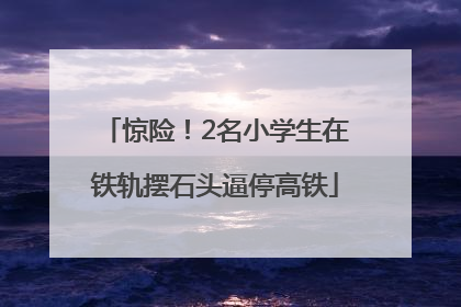 惊险！2名小学生在铁轨摆石头逼停高铁