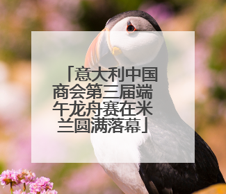 意大利中国商会第三届端午龙舟赛在米兰圆满落幕