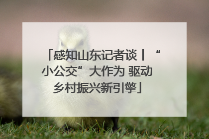 感知山东记者谈丨“小公交”大作为 驱动乡村振兴新引擎