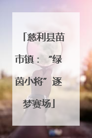 慈利县苗市镇：“绿茵小将”逐梦赛场