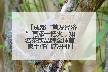 成都“首发经济”再添一把火，知名茶饮品牌全球首家手作门店开业