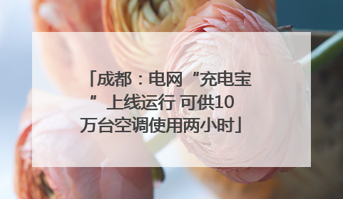 成都：电网“充电宝”上线运行 可供10万台空调使用两小时
