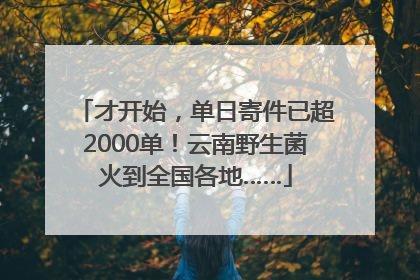 才开始，单日寄件已超2000单！云南野生菌火到全国各地……