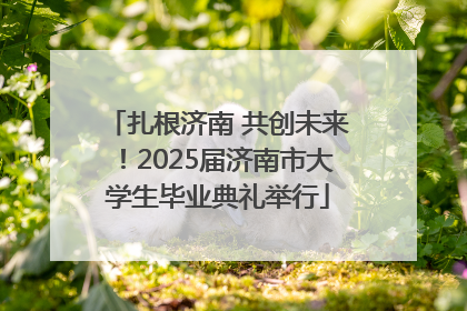 扎根济南 共创未来！2025届济南市大学生毕业典礼举行