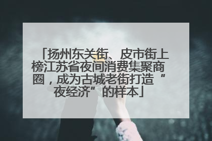扬州东关街、皮市街上榜江苏省夜间消费集聚商圈，成为古城老街打造“夜经济”的样本