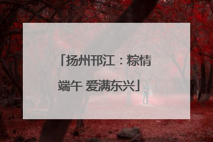 扬州邗江：粽情端午 爱满东兴