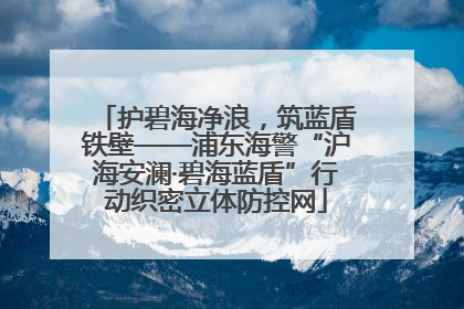 护碧海净浪，筑蓝盾铁壁——浦东海警“沪海安澜·碧海蓝盾”行动织密立体防控网