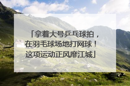 拿着大号乒乓球拍，在羽毛球场地打网球！这项运动正风靡江城