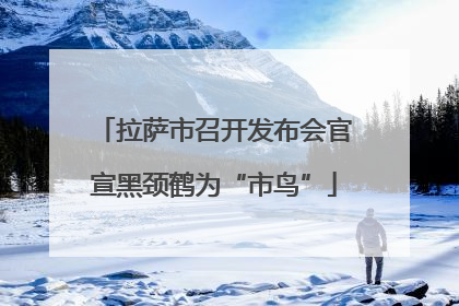 拉萨市召开发布会官宣黑颈鹤为“市鸟”