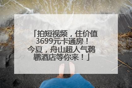 拍短视频，住价值3699元卡通房！今夏，舟山超人气鹈鹕酒店等你来！