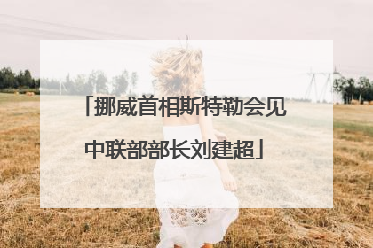 挪威首相斯特勒会见中联部部长刘建超