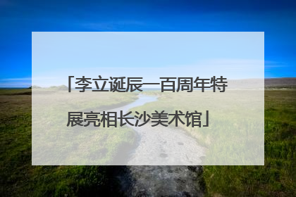 李立诞辰一百周年特展亮相长沙美术馆