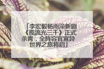 李宏毅杨雨潼新剧《揽流光三千》正式杀青，全阵容官宣异世界之旅将启