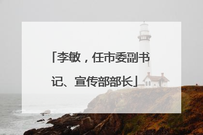 李敏，任市委副书记、宣传部部长