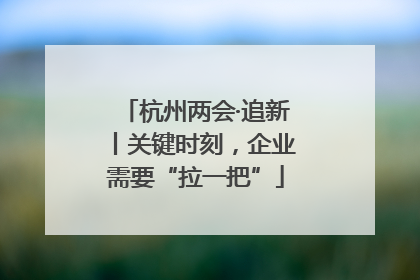 杭州两会·追新丨关键时刻，企业需要“拉一把”