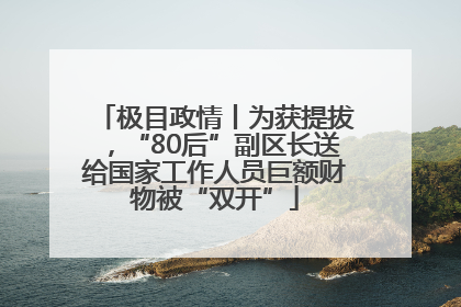 极目政情丨为获提拔，“80后”副区长送给国家工作人员巨额财物被“双开”