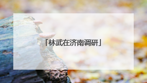 林武在济南调研