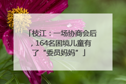 枝江：一场协商会后，164名困境儿童有了“委员妈妈”