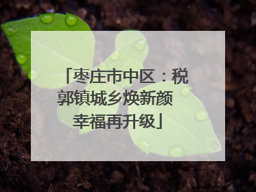 枣庄市中区：税郭镇城乡焕新颜 幸福再升级