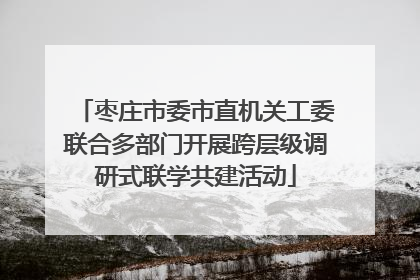 枣庄市委市直机关工委联合多部门开展跨层级调研式联学共建活动
