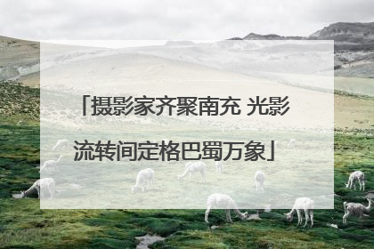 摄影家齐聚南充 光影流转间定格巴蜀万象